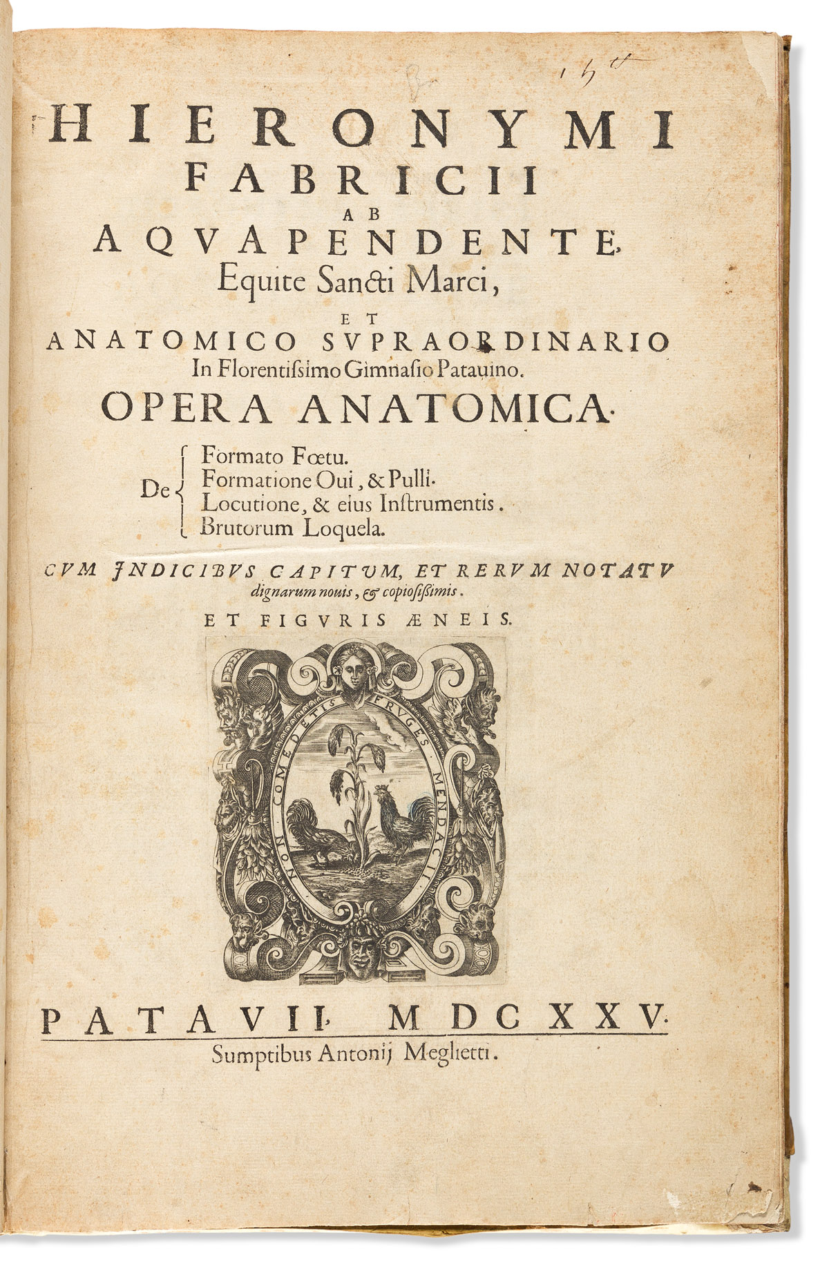 Fabricius, ab Aquapendente (1533-1619) Opera Anatomica.